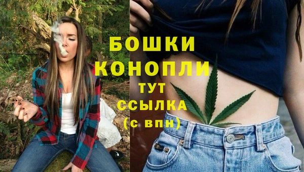 стаф Верея